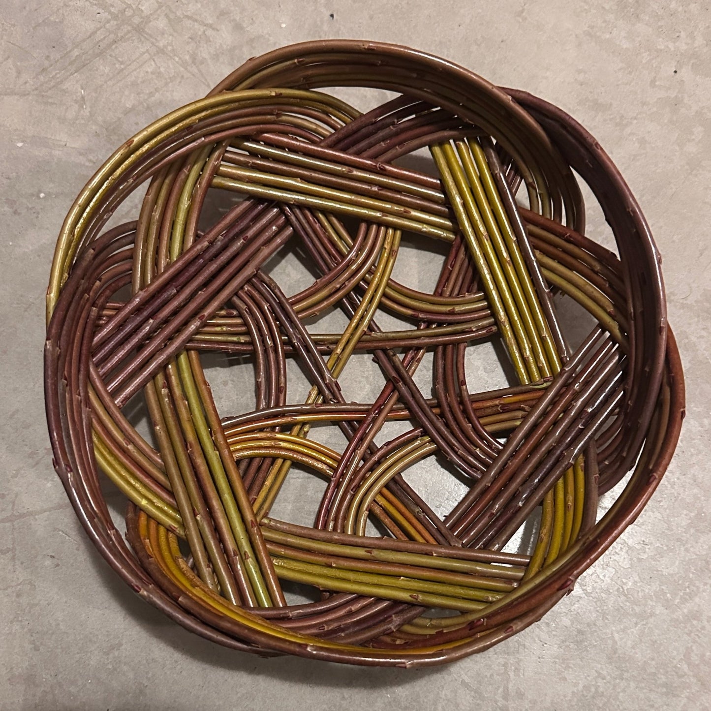 Salix P. 187 - Bundle of 10 basket willow cuttings