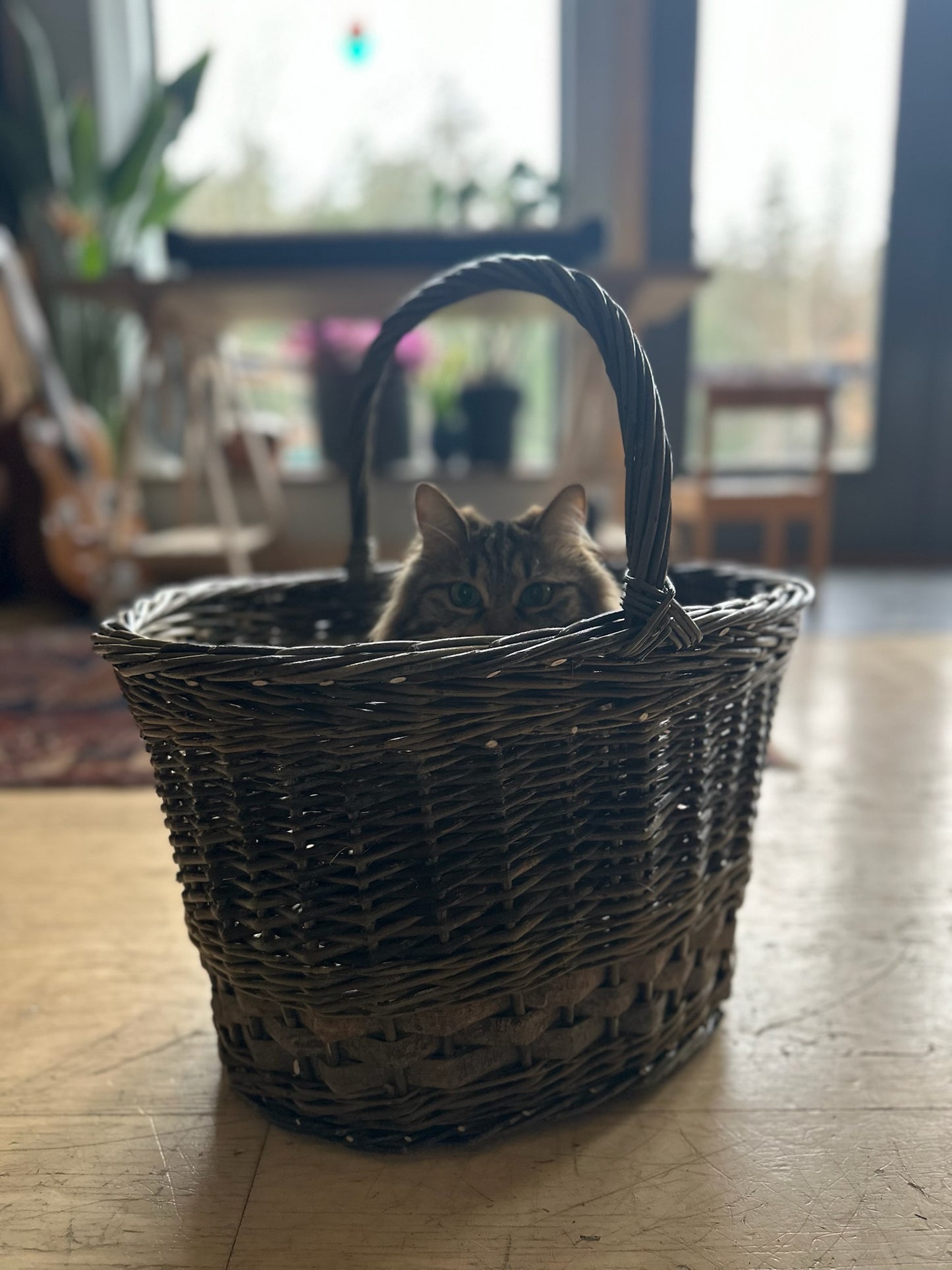 Custom Basket