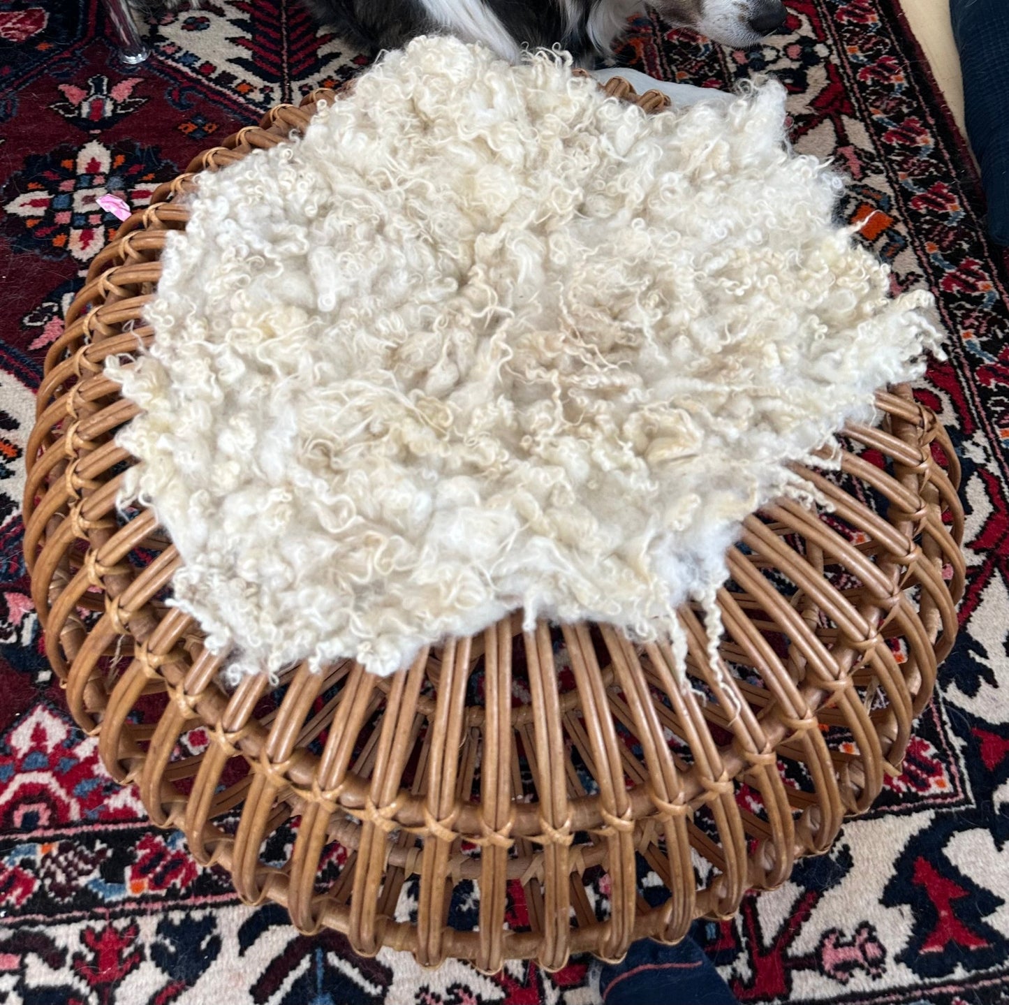 Waitlisted - Felting a Hideless "Sheepskin" with Raw Sheep Fleece, August 26-27th 9am-12pm, 2025