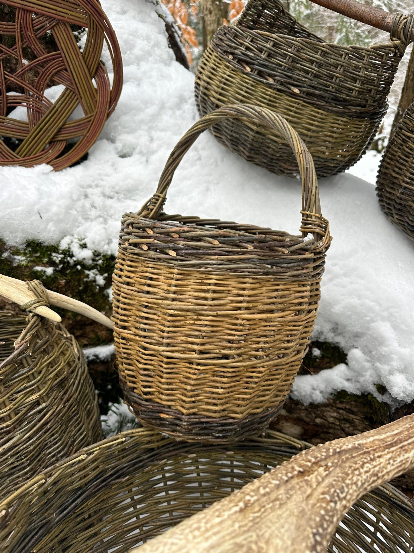 Irette - Bundle of 10 basket willow cuttings