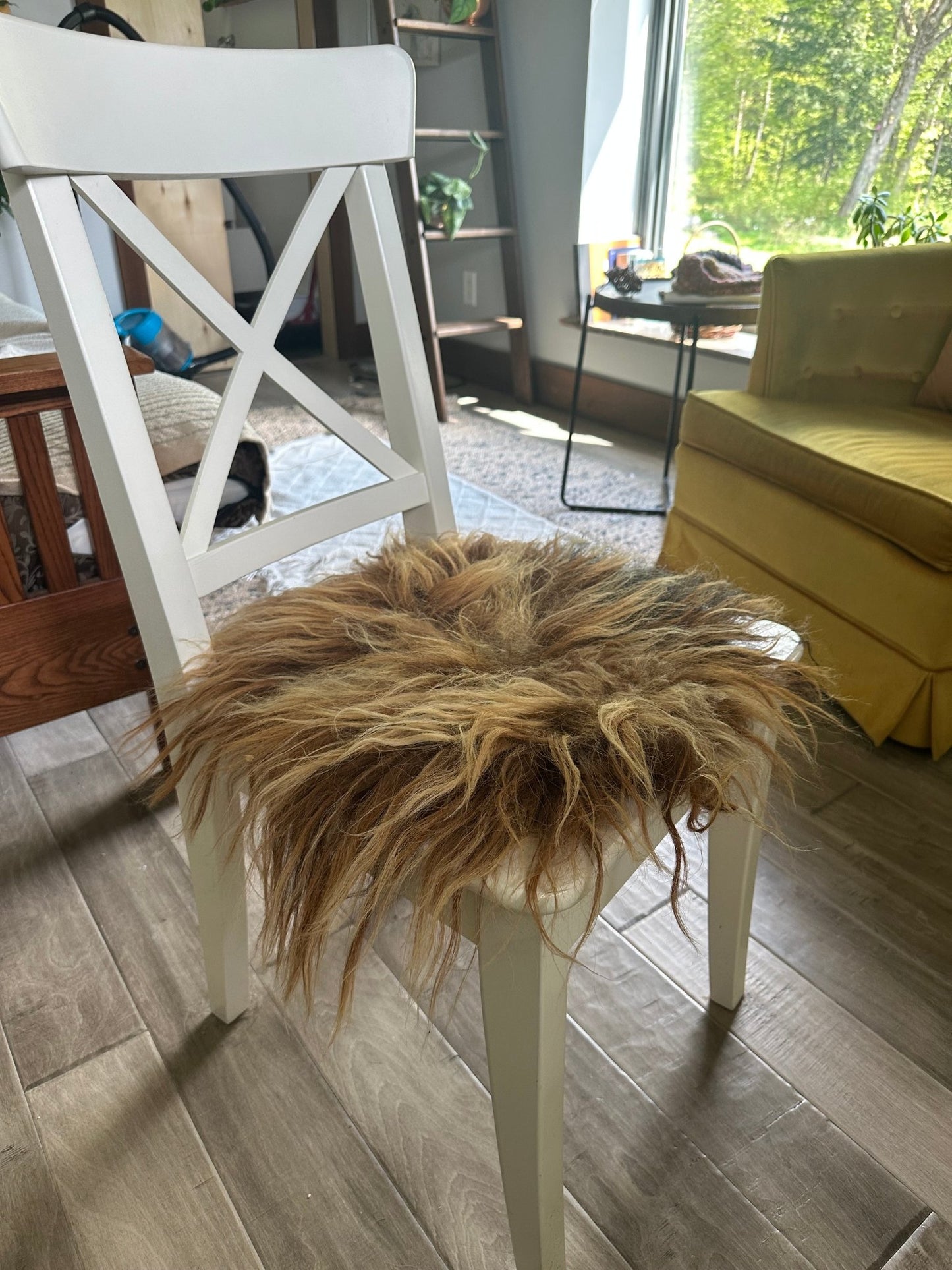 Waitlisted - Felting a Hideless "Sheepskin" with Raw Sheep Fleece, August 26-27th 9am-12pm, 2025