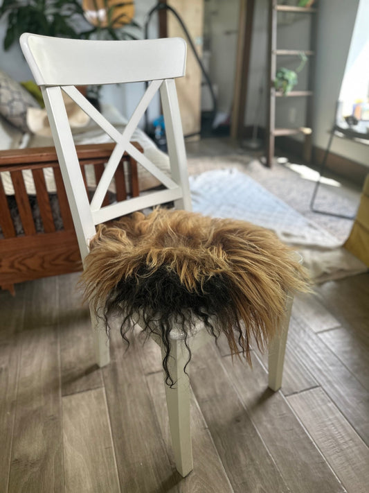 Waitlisted - Felting a Hideless "Sheepskin" with Raw Sheep Fleece, August 26-27th 9am-12pm, 2025